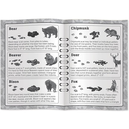 Baby Fanatics 41979: Jr. Guardabosques - Juego de Cartas para Niños "Pistas de Caca"