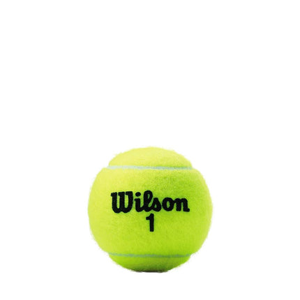 WILSON Championship Tennis Balls - Extra Duty, 24 Can Case (72 Balls)