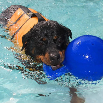Jolly Pets 8-Inch Tug-n-Toss, Blue
