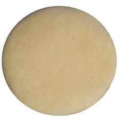 BISSELL BigGreen Commercial 437.054BG Lambs Wool B