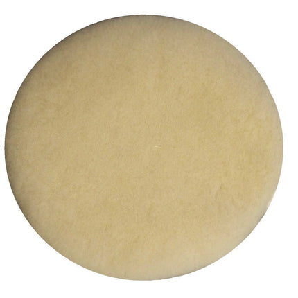 BISSELL BigGreen Commercial 437.054BG Lambs Wool B