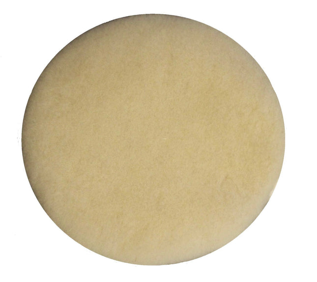 BISSELL BigGreen Commercial 437.054BG Lambs Wool B