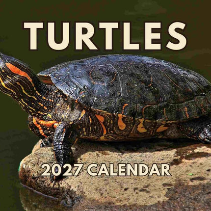Turtle Calendar 2027 Monthly Wall Calender 12 Mont