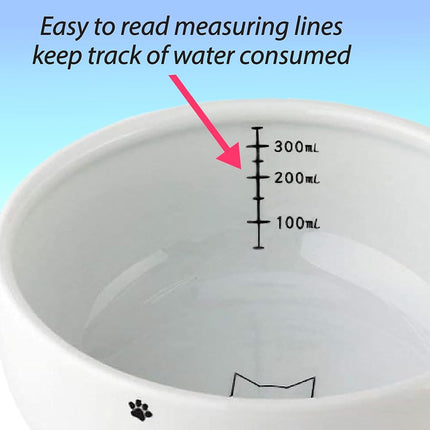 Necoichi Raised Cat Food and Water Bowl Set (Cat)