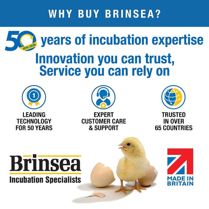 Brinsea Small Egg Quadrant Insert for Maxi Advance Incubator System, Fits 40 Pheasant or Quail-Size Eggs