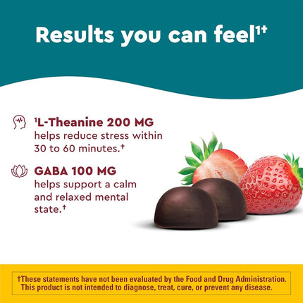 Nature Made Wellblends Stress Relief Gummies, L-theanine to help reduce stress, with GABA, Same Day Stress Support, 40 Strawberry Flavor Gummies