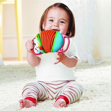 Skip Hop Explore and More Accordion Toy, Hedgehog