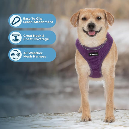 Aerolite No Pull Mesh Dog Harness with Lightweight, Soft, Breathable Chest Coverage, Reflective Stitching, and Adjustable Straps for Walking, Running, Training, Heavy Duty and Durable - Purple, XS