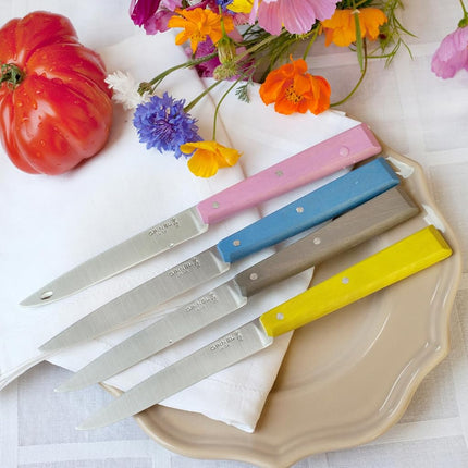OPINEL No. 125 Table Knives Set, 4-Piece Set, High-Carbon Steel Dinner Knives for Parties, Entertaining, or Everyday Use, Painted Handles, Made in France (Countryside)