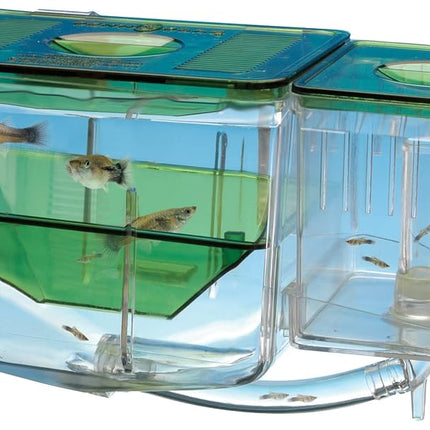 Penn Plax Aqua Nursery