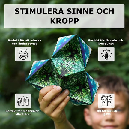 SHASHIBO Shape Shifting Box - Award-Winning, Patented Fidget Cube w/ 36 Rare Earth Magnets - Transforms Into Over 100 Shapes, Download Fun in Motion Toys Mobile App (Original Series - Wings)