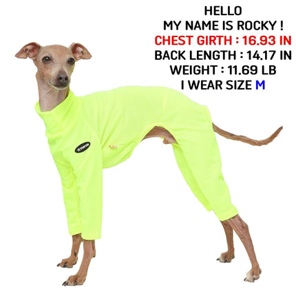 D Doggy Star Italian Greyhound Clothes Stretchy Neon Onesie Spring Summer (XL,Onsi Ne Yellow)