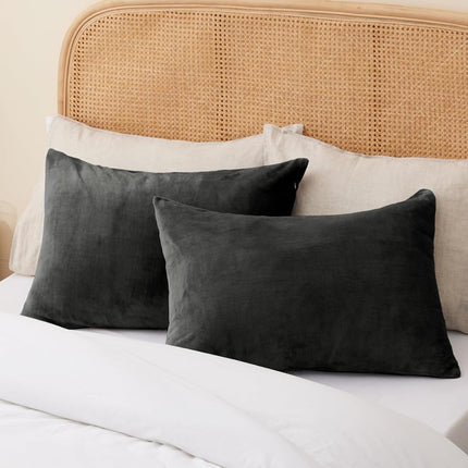 BEDELITE Flannel Pillowcases Standard Set of 2, Super Soft Fleece Pillow Case Cover with Zipper for Bedroom, Sofa, Couch,Luxury Cozy Fuzzy Velvet Pillow Shams for All Seasons(20x26 Inches, Dark Gray)