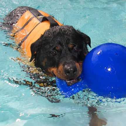 Horsemen's Pride Tug-n-Toss Jolly Ball, 6-Inch, Blue 406 BL