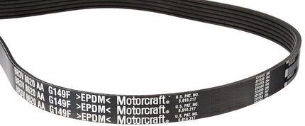 Motorcraft Drive Belt
