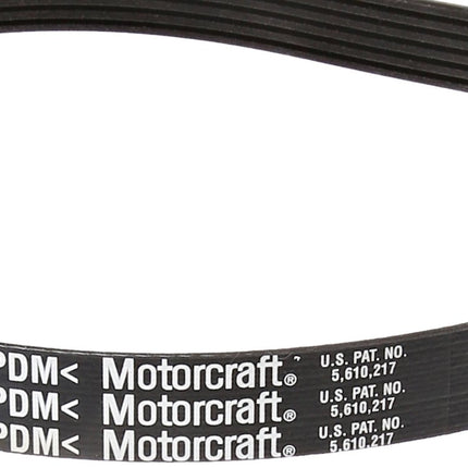 Motorcraft Drive Belt