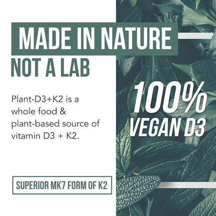 Triquetra Health Organic Plant D3 + K2 | 5000 iu D3 + 120 mcg K2 as All-Trans MK7 from MenaQ7® - 100% Whole Food, Raw & Vegan | Enhanced Digestion with Prebiotic & Superfood Complex (60 Servings)