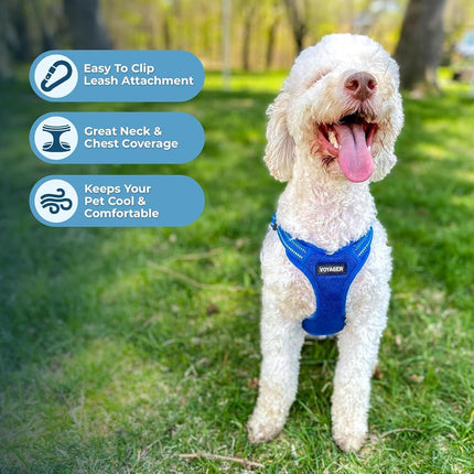 Best Pet Supplies Voyager Adjustable Dog Harness Leash Set with Reflective Stripes for Walking Heavy-Duty Full Body No Pull Vest with Leash D-Ring, Breathable All-Weather - Harness (Royal Blue), XL