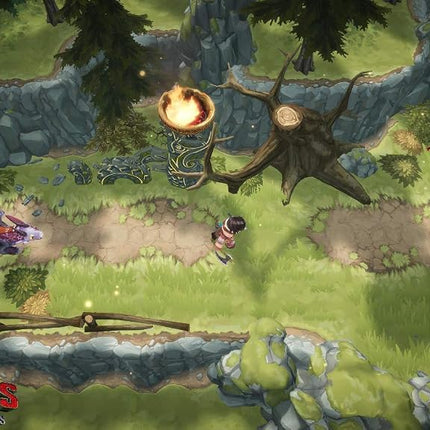 Dragons: Dawn of New Riders - Nintendo Switch