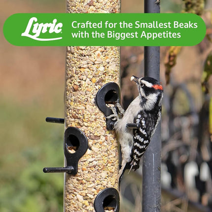Lyric Bird Seed Fine Tunes No Waste Mix - 15 lb.