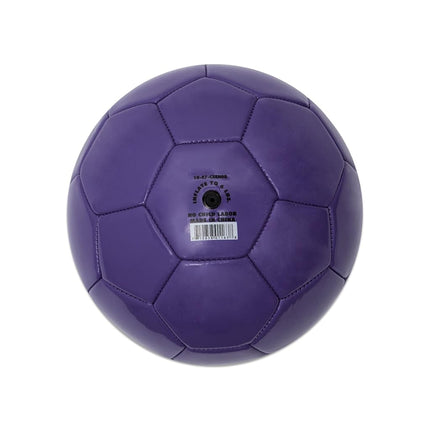 Champion Sports Extreme Series Size 3 Soccer Ball (Purple)