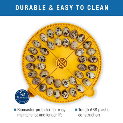 Brinsea Small Egg Quadrant Insert for Maxi Advance Incubator System, Fits 40 Pheasant or Quail-Size Eggs