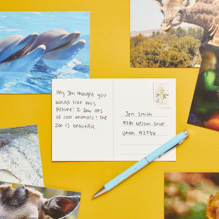 Best Paper Greetings 40 Pack Bulk Animal and Travel Postcards From Around the World for Mailing, Assorted Nature Thank You Notes (4 x 6 In)