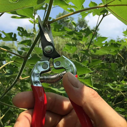Gonicc Professional Micro-Tip Pruning Snip (GPPS-1008), Small Garden Hand Pruner & shears For Arranging Flowers, Trimming Plants & Hydroponic Herbs, And Harvesting Fruits & Vegetables.