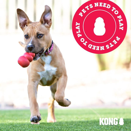 KONG Cloud Inflatable Recovery Collar for Dogs and Cats, Small