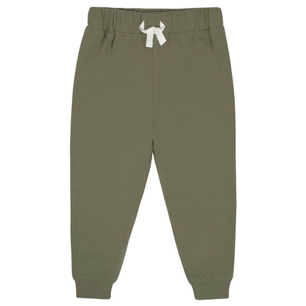 Gerber baby-boys Toddler 2-piece French Terry Pullover & Jogger Set, Green, 12 Months