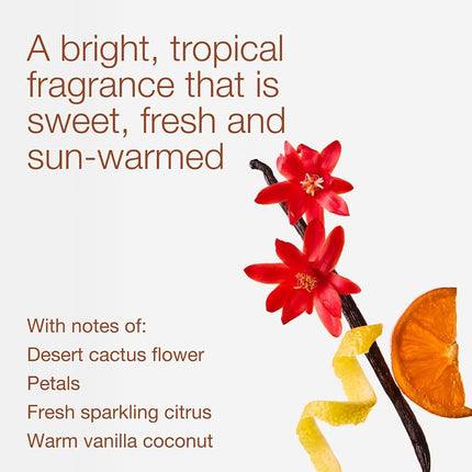 Bath & Body Works, bougie à 3 mèches White Barn avec huiles essentielles - 14,5 oz - Nouveaux parfums permanents ! (Fleur de cactus)