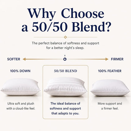East Coast Bedding Balanced Dream Almohada de plumas de ganso 50/50, tamaño Queen, 50x75 cm, soporte medio con funda 100% algodón – Paquete individual