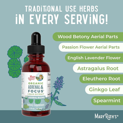 Adrenal Support & Focus Supplement by MaryRuth's | Adrenal Supplements Help The Body Manage Stressors & Improve Focus | Nootropic Adrenal Complex with Astragalus Root, Gingko Leaf, Wood Betony Herb