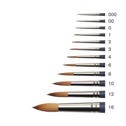 Winsor & Newton 5011116 Professional Watercolour Brush, Painting Brush for Watercolours with Synthetic Fibres, Ergonomic Handle, Durable & Dimensionally Stable, Short Handle, Round Brush No. 16