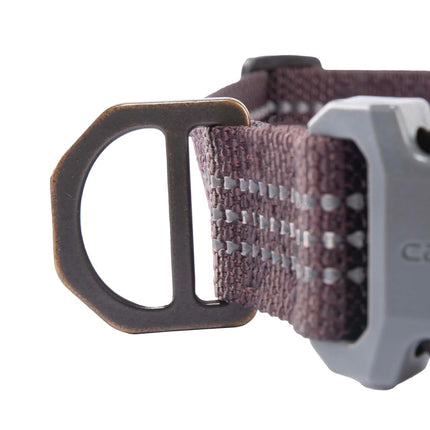 Carhartt Nylon Webbing Dog Collar, Fully Adjustable, with Durable Side Buckle, Wine Red, Size M
