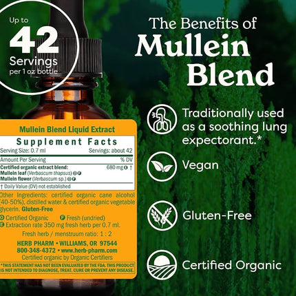Herb Pharm Certified Organic Mullein Blend Extract for Respiratory System Support - 1 Ounce