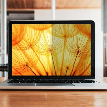 3M Bright Screen Privacy Filter for 15.6in Laptop, 16:9, BP156W9B