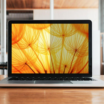 3M Bright Screen Privacy Filter for Dell Multi-LINe Laptops 13IN