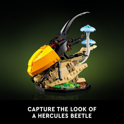 LEGO Ideas The Insect Collection, Fun Gift for Nature Lovers, with Life-Size Blue Morpho Butterfly, Hercules Beetle and Chinese Mantis Display Models, Insect Building Set, Nature Décor (6452127)