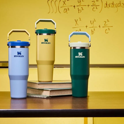 Stanley IceFlow 2.0 Flip Straw Tumbler with Handle 11 oz | Twist Lid and Flip Straw | Leak Proof Water Bottle | Insulated Stainless Steel | BPA Free | Emerald Honeydew