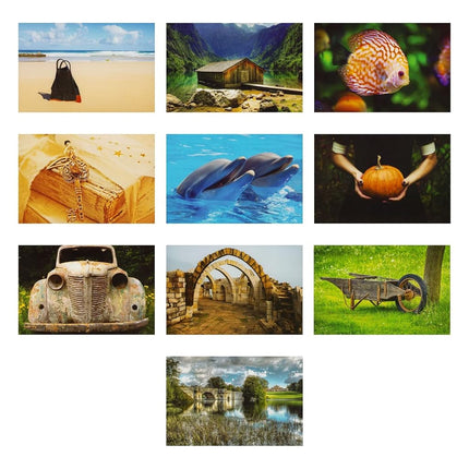 Best Paper Greetings 40 Pack Bulk Animal and Travel Postcards From Around the World for Mailing, Assorted Nature Thank You Notes (4 x 6 In)