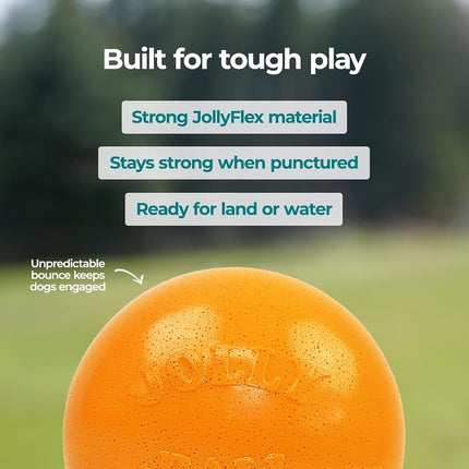 Jolly Pets Bounce-N Play Dog Toy, 15 cm, Orange