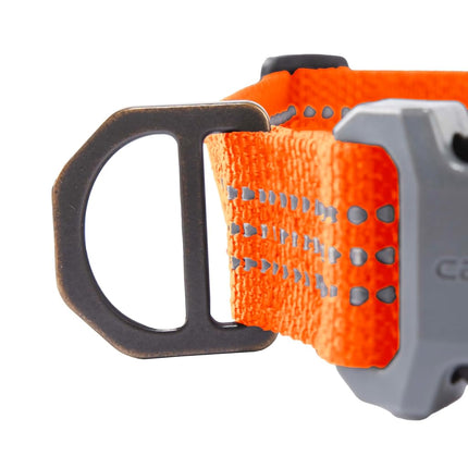 Carhartt Nylon Webbing Dog Collar, Fully Adjustable W/Durable Side Release Buckle, Hunter Orange, Medium