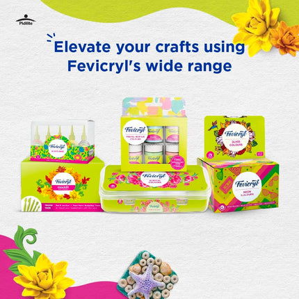 Fevicryl Hobby Ideas Mould It, 900 g