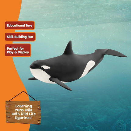 Schleich Wild Life - Killer Whale Orca Toy Figurine - Kids Ages 3+ | 14807