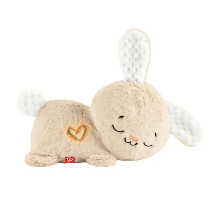 Fisher-Price Soothe & Settle Bunny Baby Toy