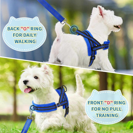 Lukovee Dog Leashes for Small Dogs, Lightweight Soft Small Dog Harness Neck & Chest Adjustable, Reflective Harness Anti-Twis Puppy Harness Vest Harness (Meduim, Blue)