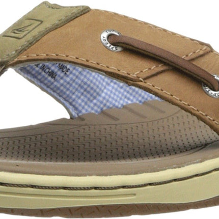 Sperry Men's Baitfish Thong (Box) Sandal, Tan, 12 