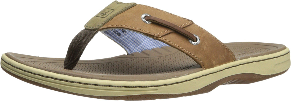 Sperry Men's Baitfish Thong (Box) Sandal, Tan, 12 