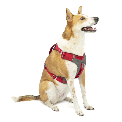 Kurgo Journey Air Dog Harness - Secure Fit for Act